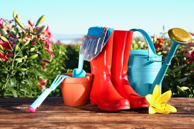 Gardening tools, rubber boots and fresh lily on wooden table in flower field