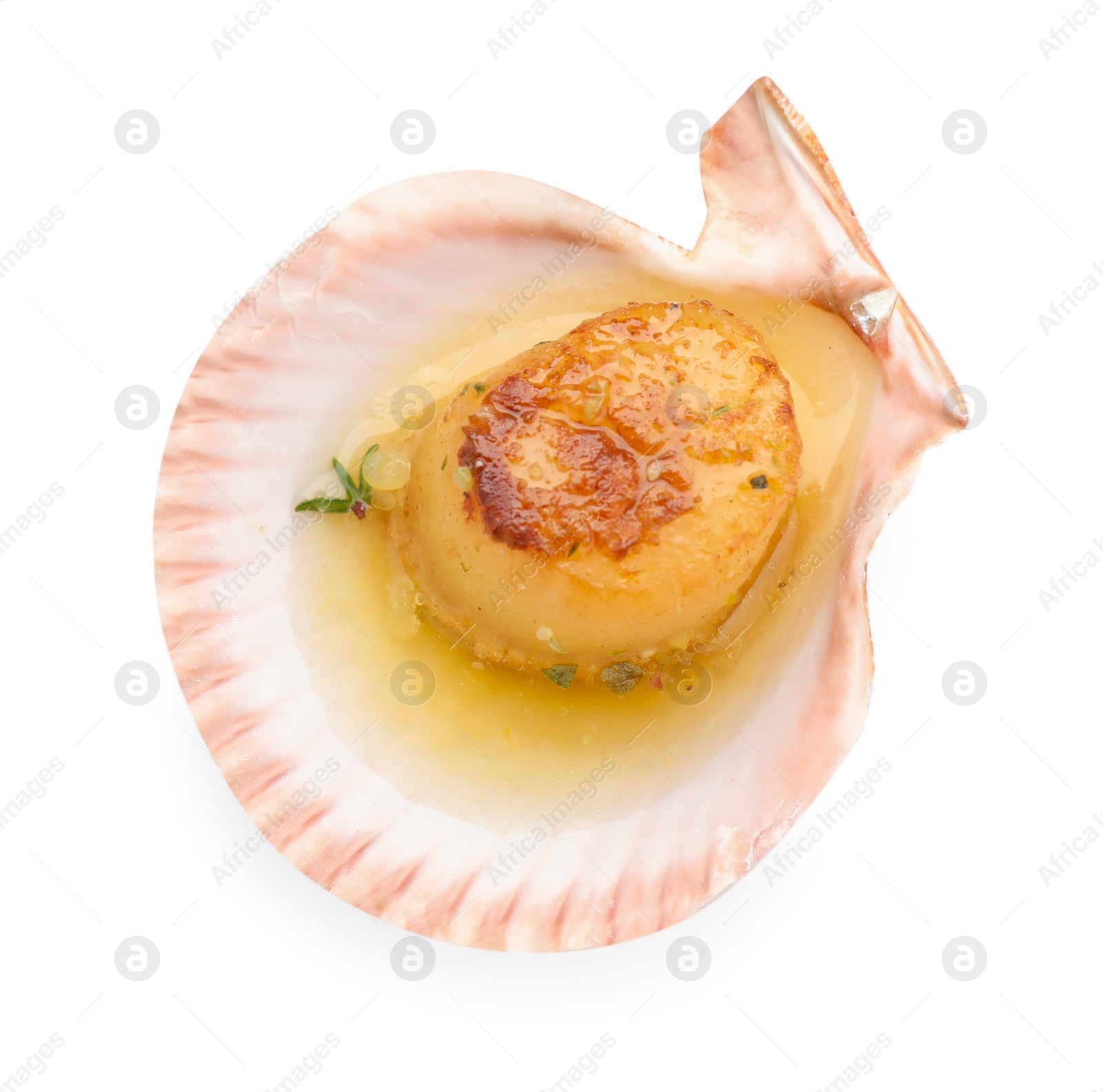 Photo of Delicious fried scallop in shell isolated on white, top view