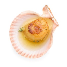 Photo of Delicious fried scallop in shell isolated on white, top view