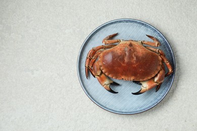 Photo of Delicious boiled crab on white textured table, top view. Space for text