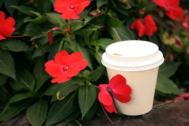 Cardboard cup with tasty coffee near beautiful flowers outdoors