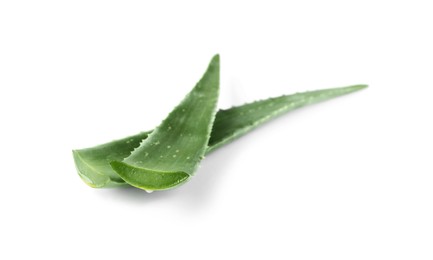 Photo of Green aloe vera leaves isolated on white