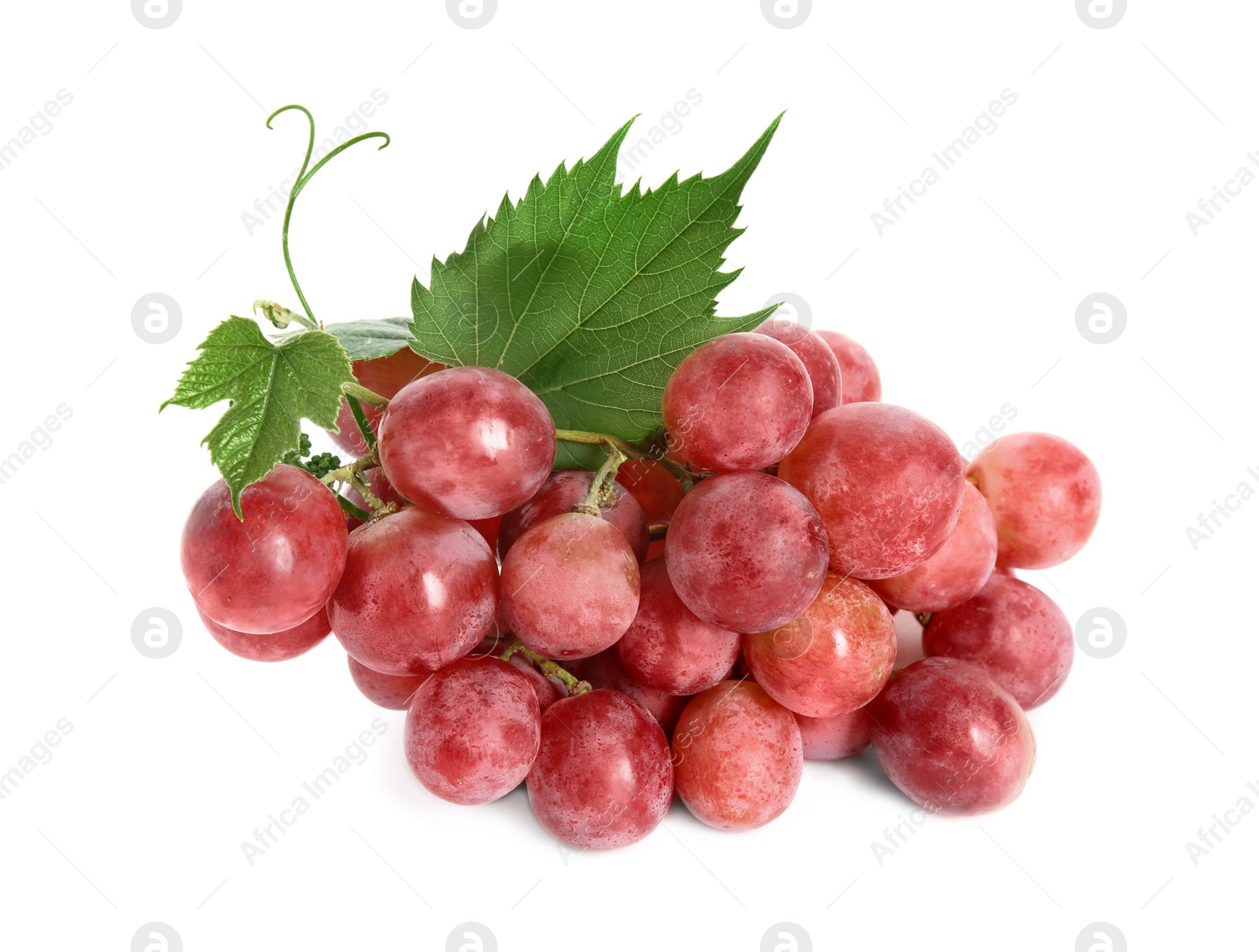 Photo of Cluster of ripe red grapes with green leaves on white background