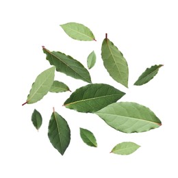 Image of Fresh bay leaves falling on white background