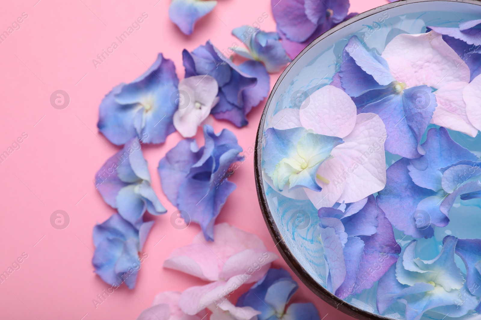 Photo of Spa composition. Aromatic water in bowl and flowers on pink background, closeup. Space for text