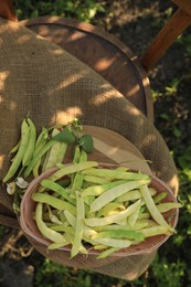 Photo of Wicker basket with fresh green beans on wooden chair in garden