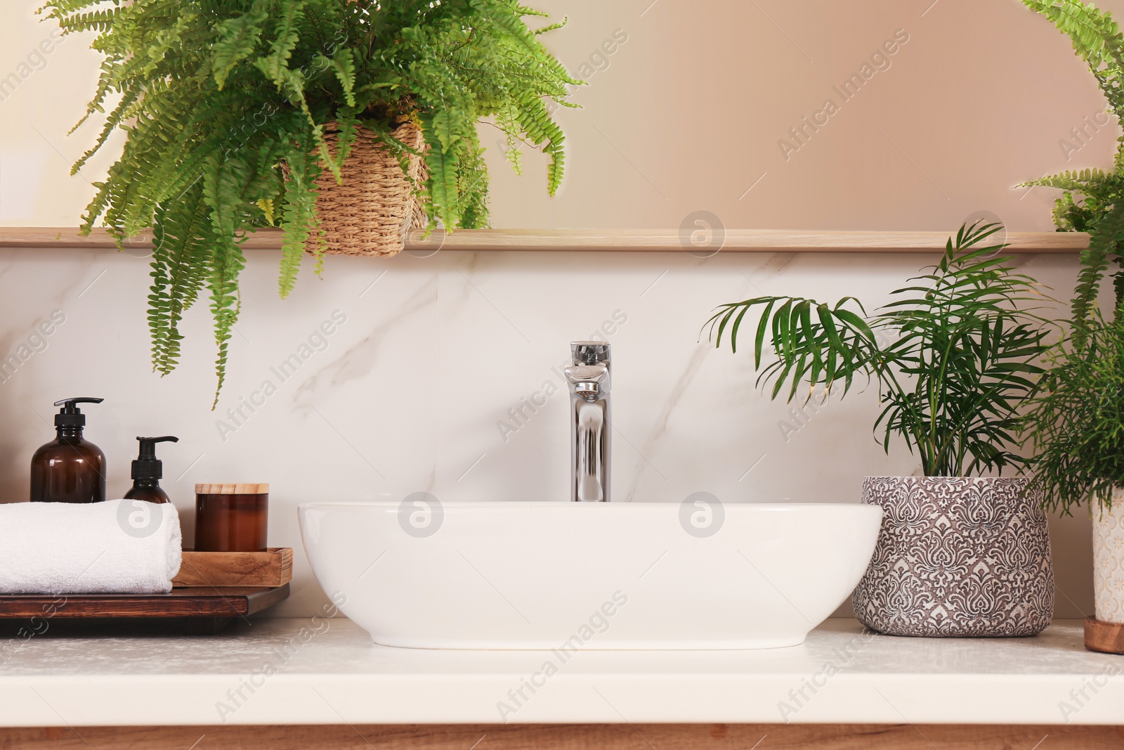 Photo of Counter with sink and many different houseplants near white marble wall