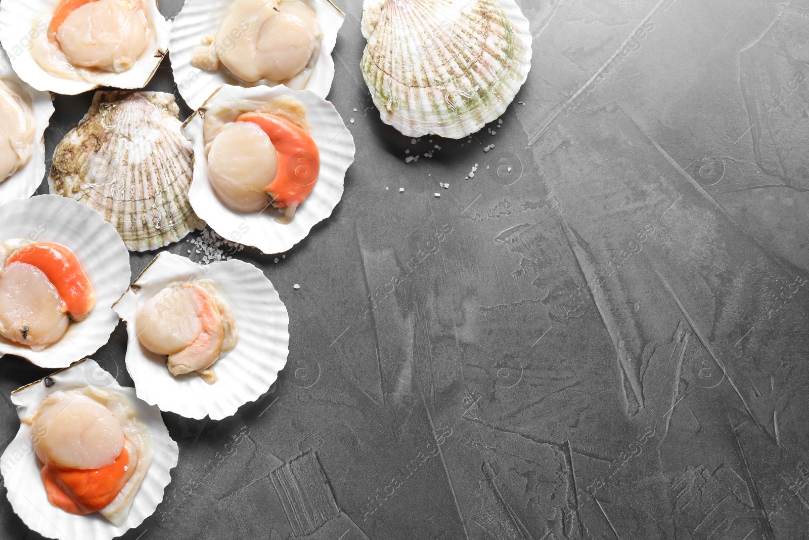 Photo of Fresh raw scallops on grey table, flat lay. Space for text