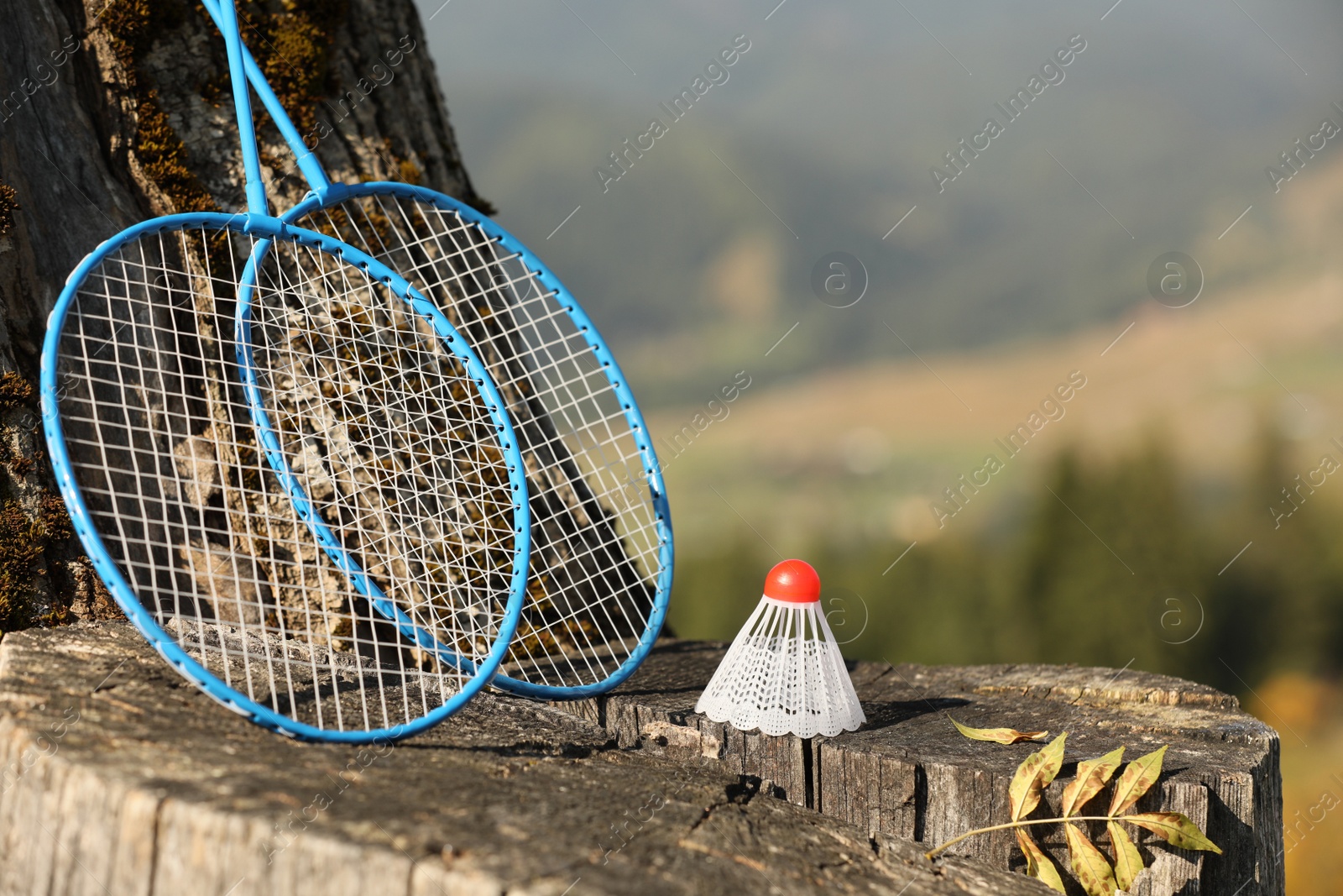 Photo of Badminton racquets and shuttlecock on wooden stump outdoors. Space for text