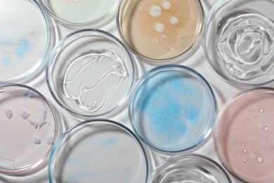 Petri dishes with liquids on white table, flat lay