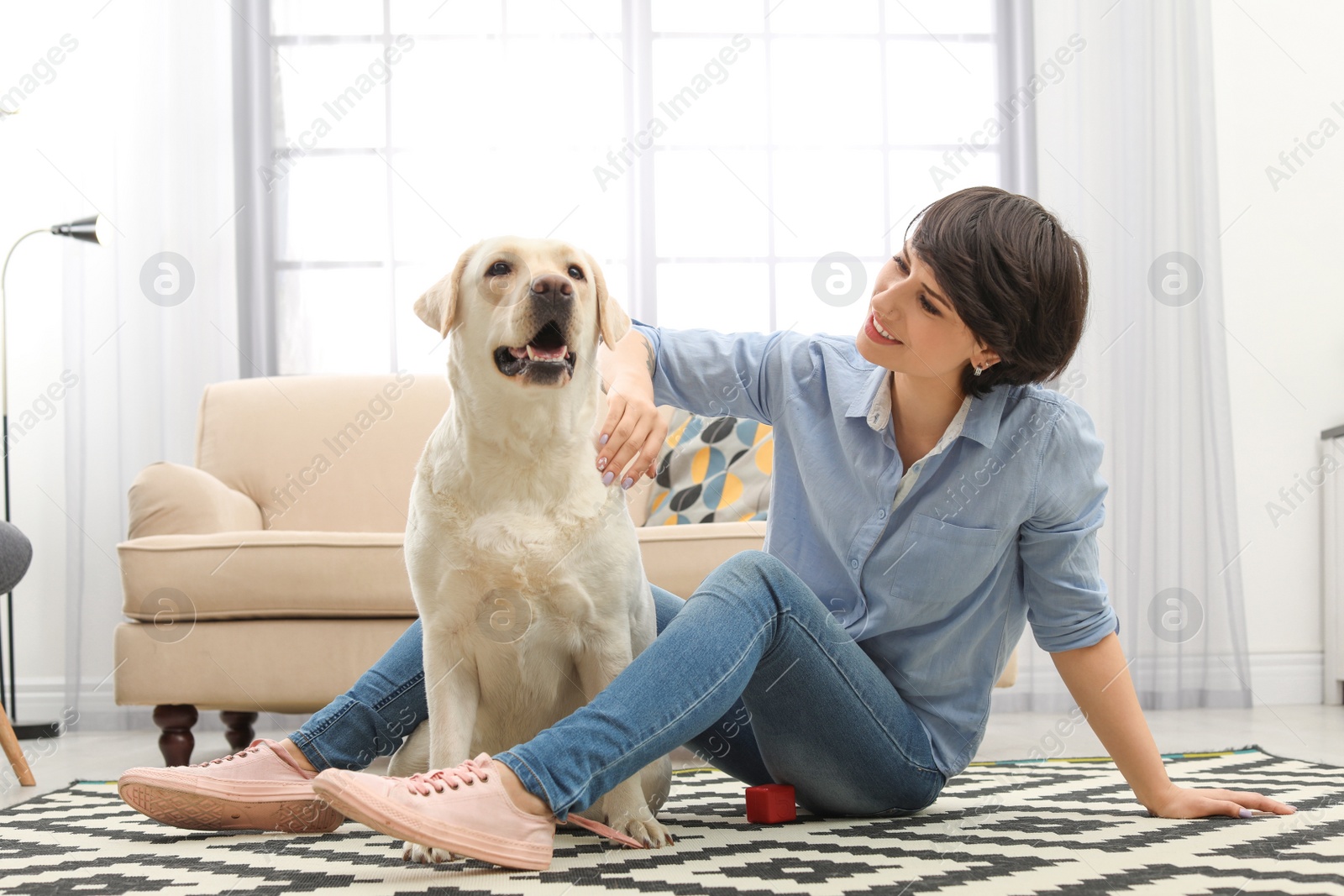 Photo of Adorable yellow labrador retriever with owner at home