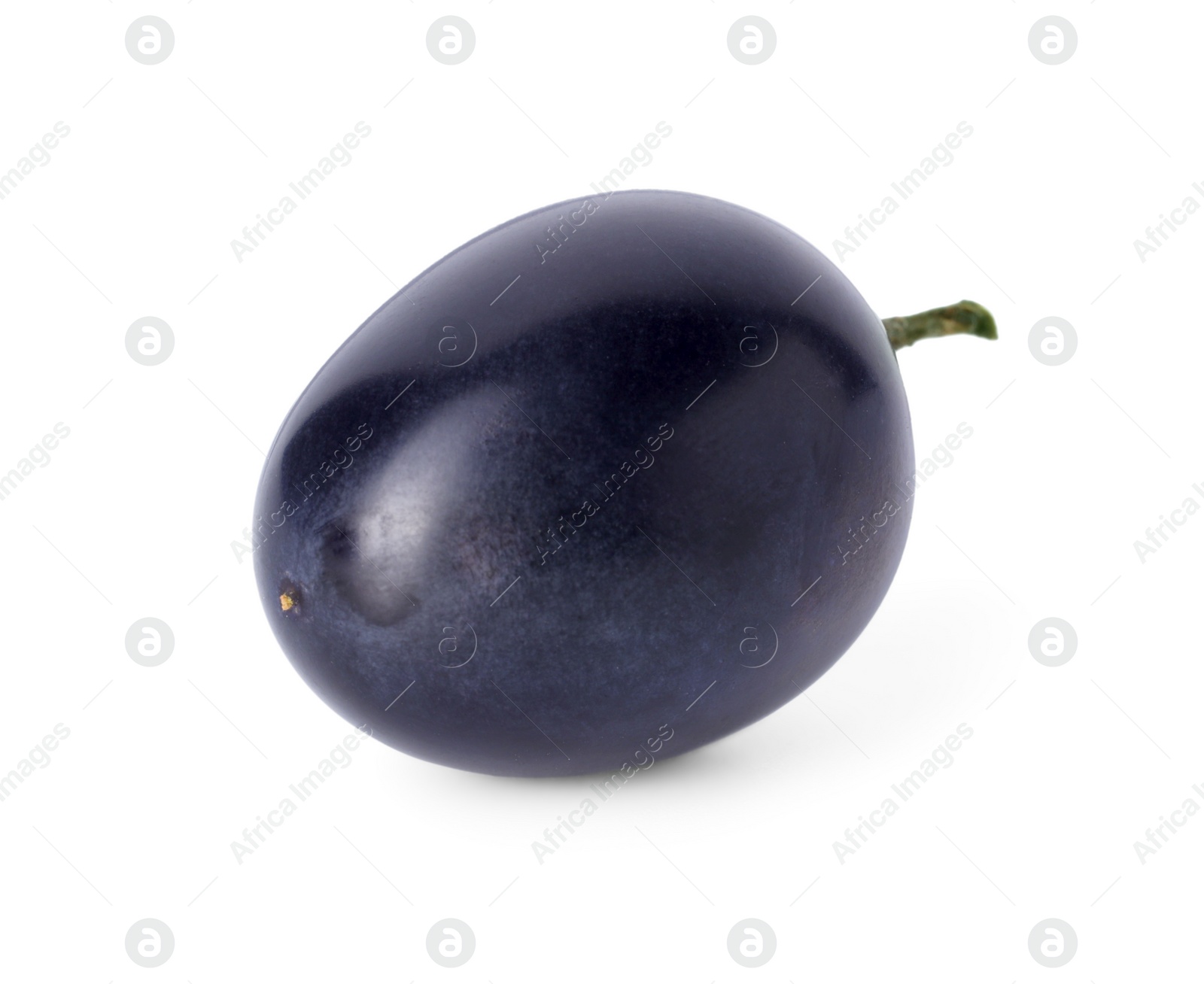 Photo of One ripe dark blue grape isolated on white