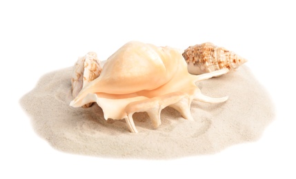 Photo of Pile of beach sand with beautiful starfish and sea shells on white background