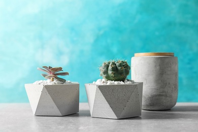 Photo of Beautiful succulent plants in stylish flowerpots on table against blue background, space for text. Home decor