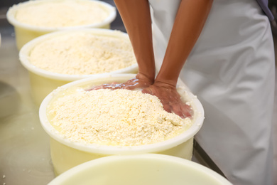 Worker pressing curd into mould at cheese factory, closeup
