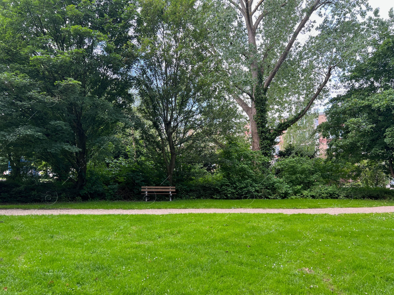 Photo of Beautiful view of green park with bench