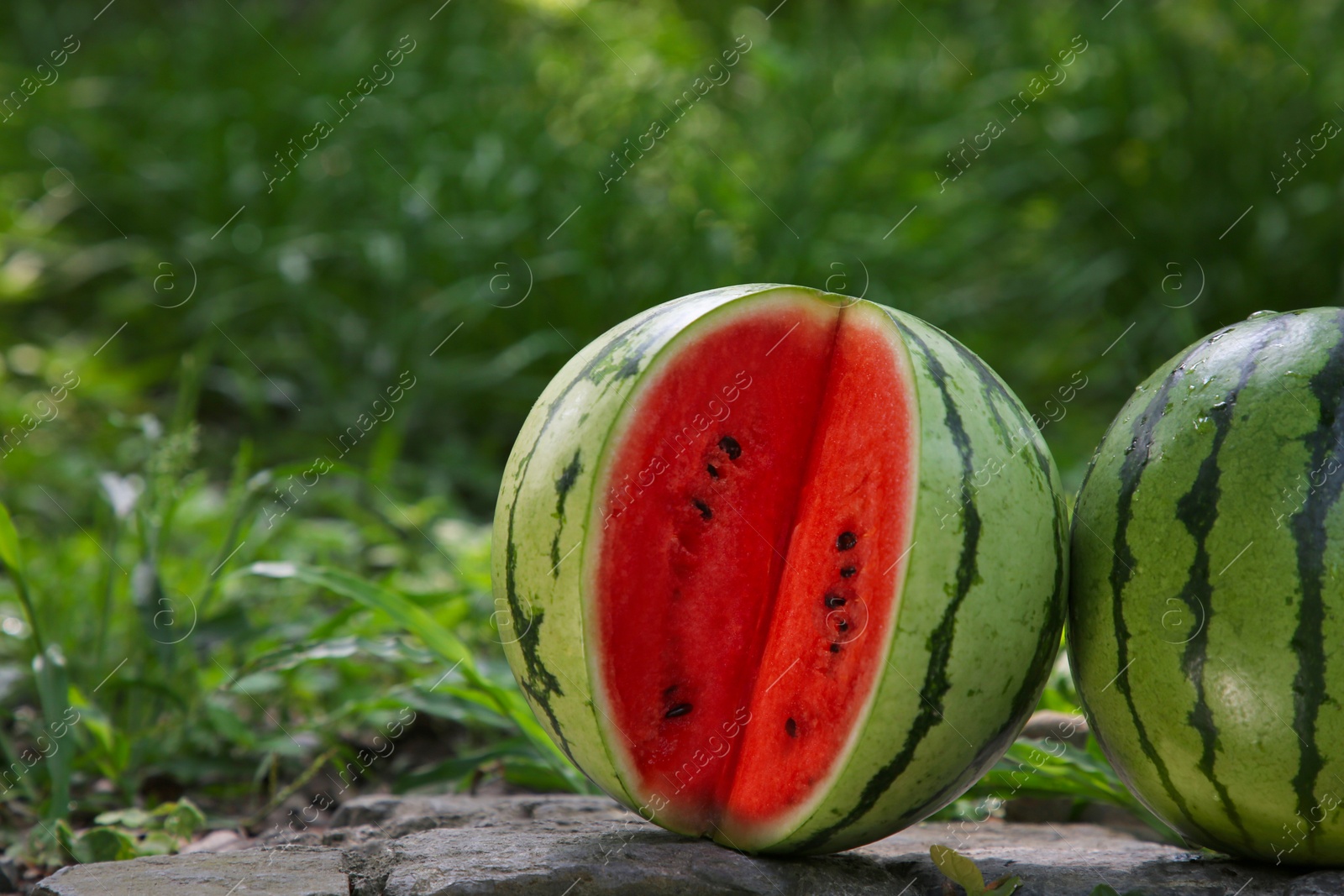 Photo of Delicious whole and cut watermelons on stone surface outdoors. Space for text