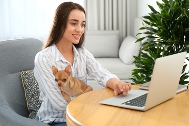 Photo of Young woman with chihuahua working on laptop at table. Home office concept