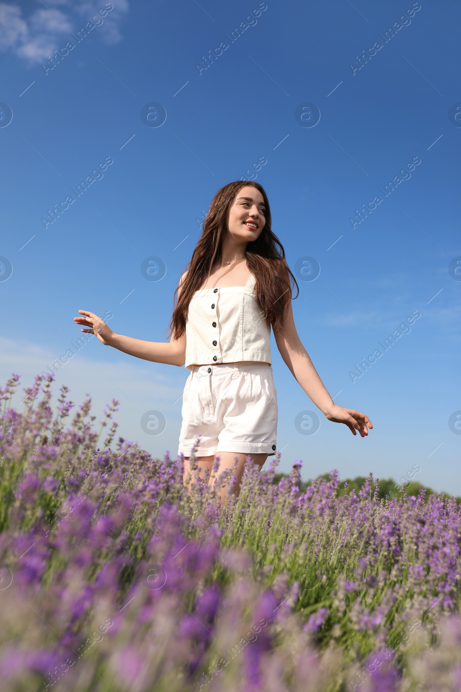 Photo of Young woman in lavender field on summer day