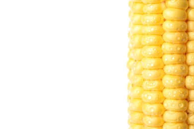 Photo of Ripe raw corn cob with water drops on white background, closeup