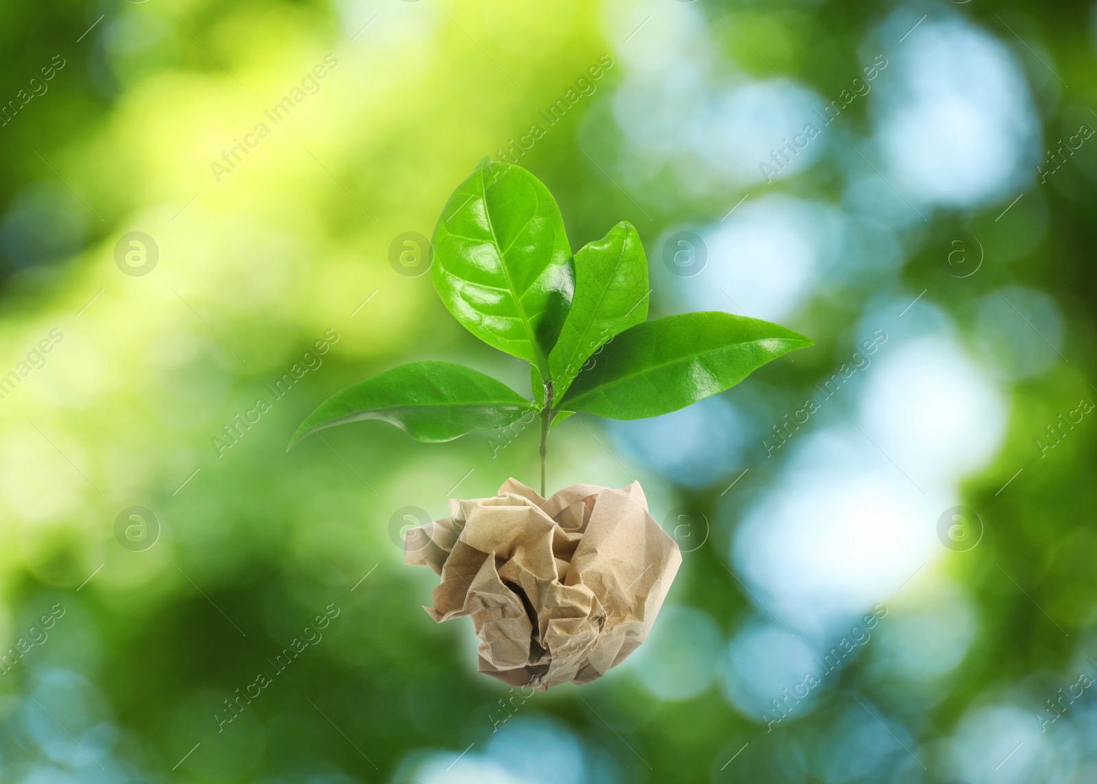 Image of Crumpled sheet of paper on twig with green leaves on blurred background, bokeh effect. Recycling concept