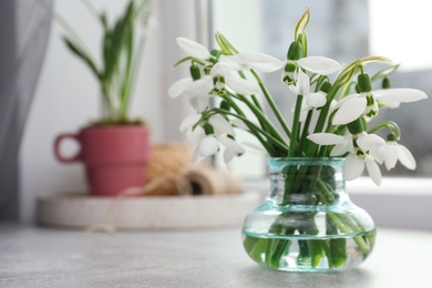 Photo of Beautiful snowdrops in vase on light grey table near window. Space for text