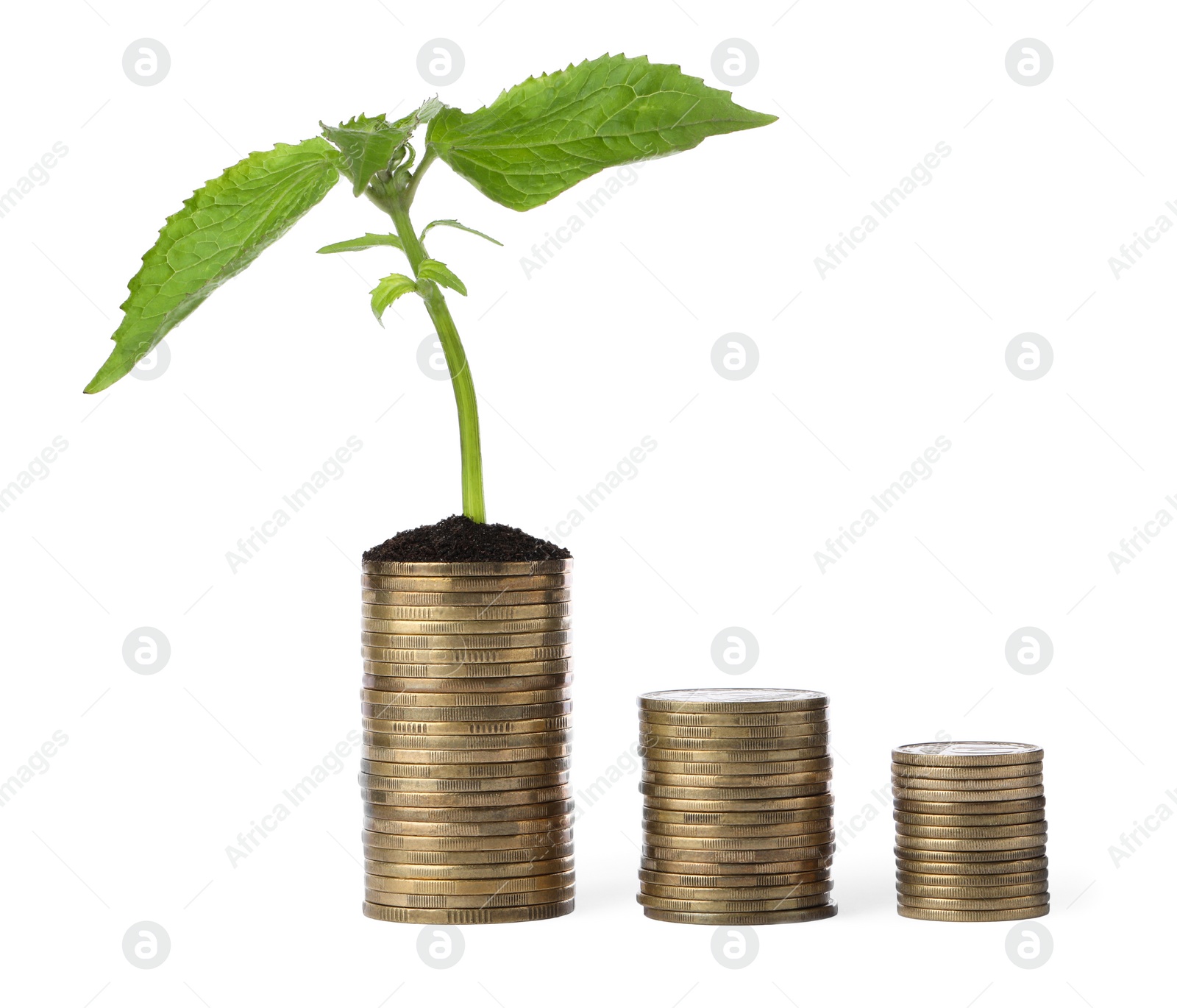 Photo of Stacks of coins with green sprout isolated on white. Investment concept