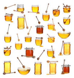 Set of organic delicious honey on white background