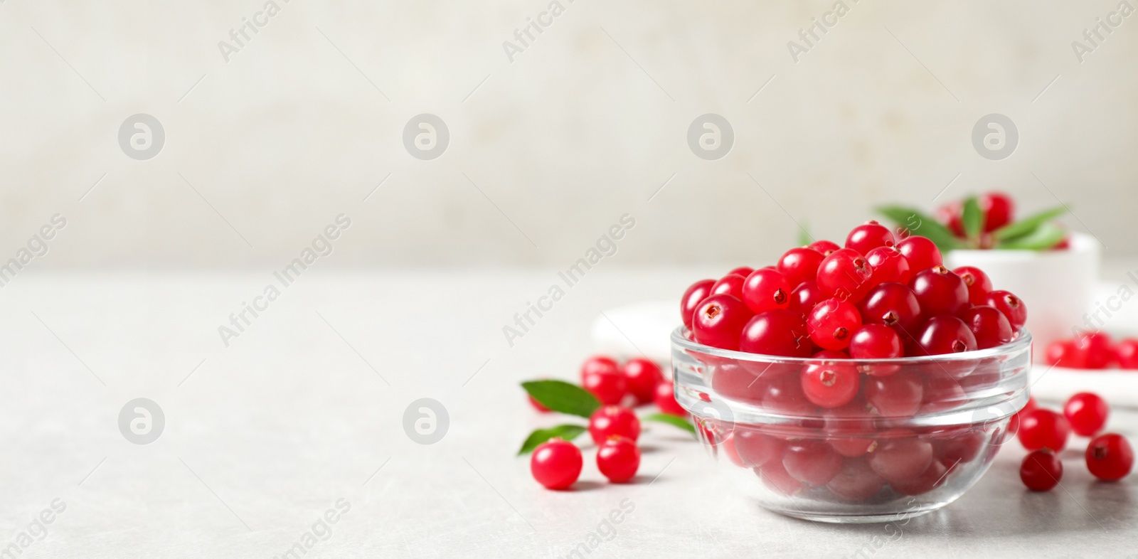 Image of Fresh cranberry in glass bowl on light table, space for text. Banner design