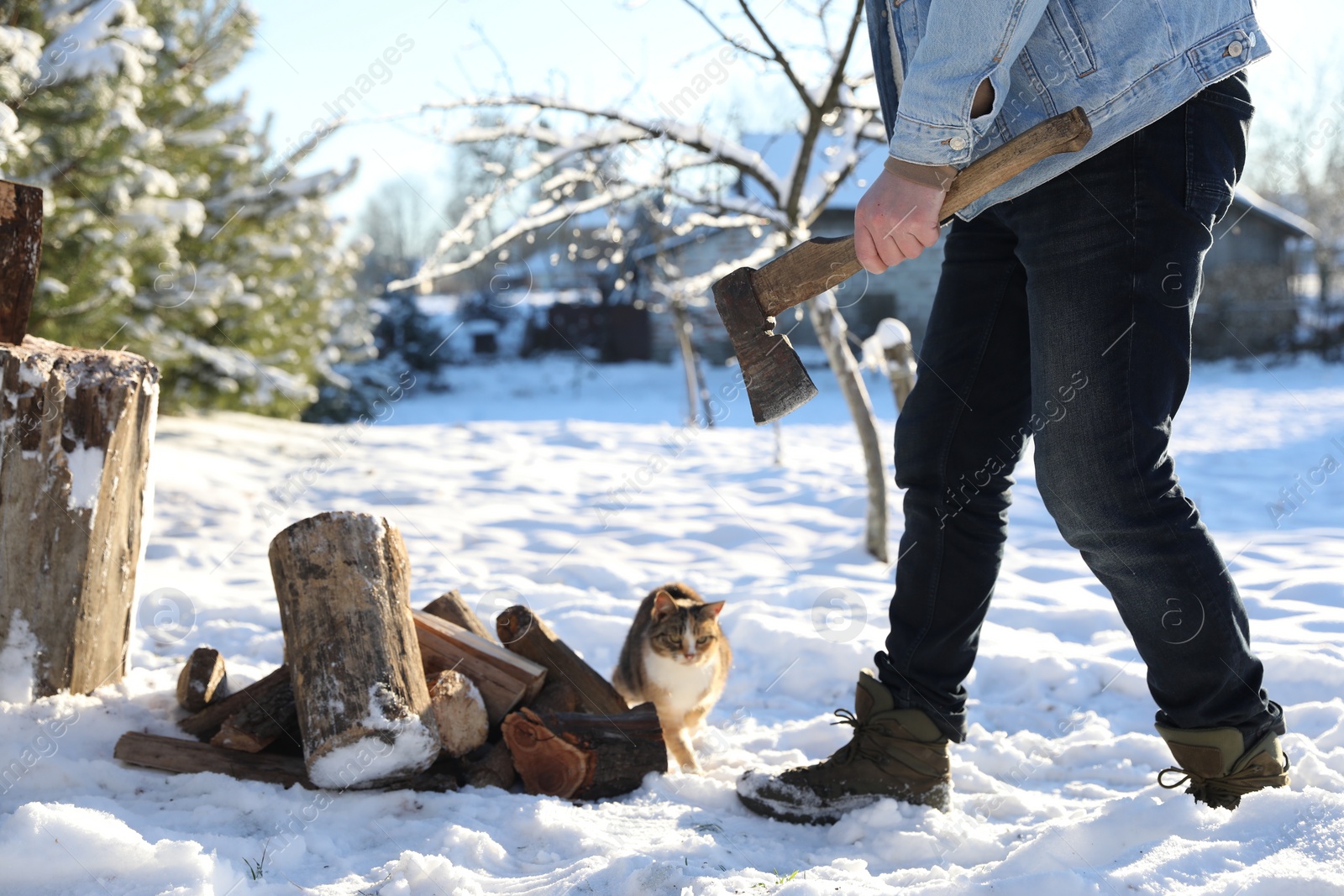 Photo of Man with axe, cat and pile of wood outdoors on sunny winter day, closeup