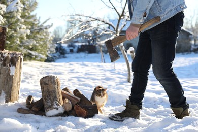 Photo of Man with axe, cat and pile of wood outdoors on sunny winter day, closeup