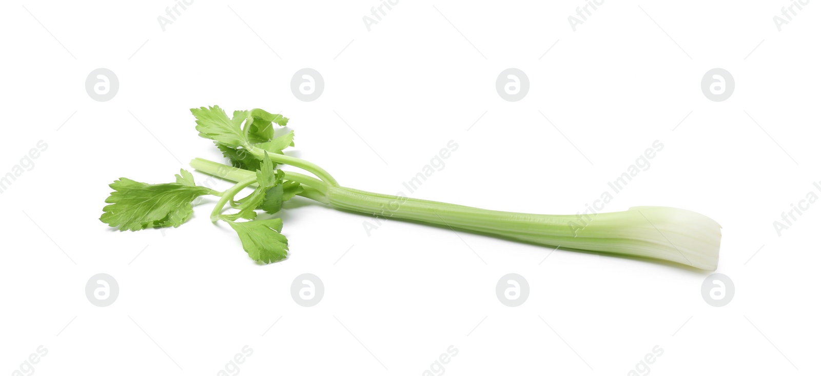 Photo of Fresh green celery stem isolated on white