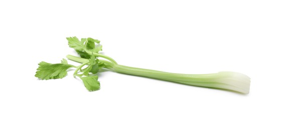 Fresh green celery stem isolated on white