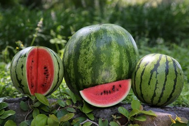 Different delicious ripe watermelons on stone surface outdoors