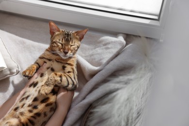 Photo of Woman with cute Bengal cat near window at home, closeup. Adorable pet
