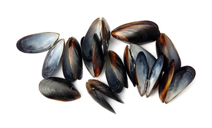 Photo of Open empty mussel shells on white background, top view