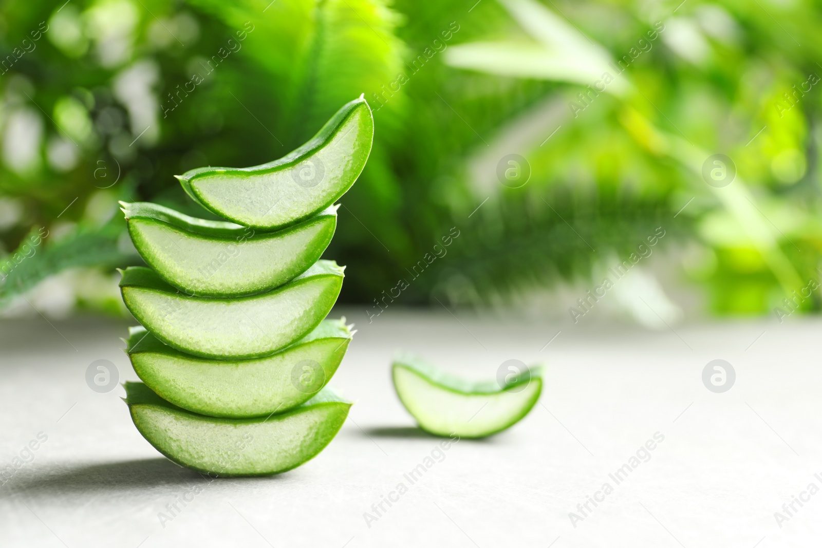 Photo of Fresh sliced aloe vera leaves on light table against blurred background with space for text