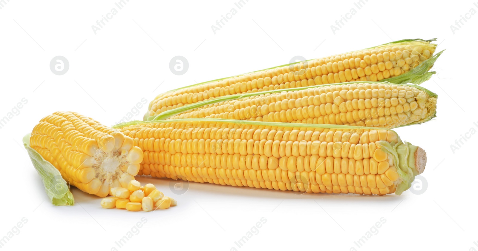 Photo of Tasty sweet corn cobs on white background