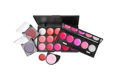 Colorful lip palettes with brush isolated on white, top view. Professional cosmetic product