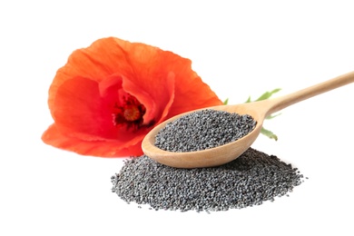 Composition with poppy seeds and flower on white background