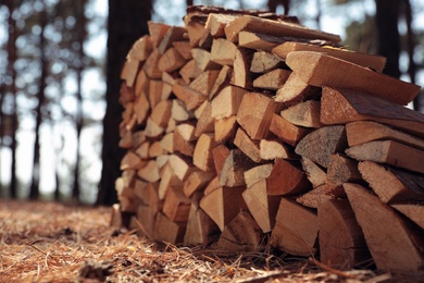 Photo of Stack of cut firewood in forest on sunny day, closeup