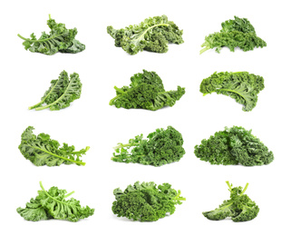 Image of Set of fresh green kale leaves on white background