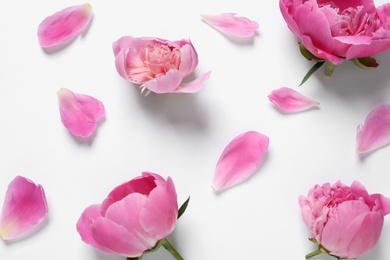 Photo of Beautiful peony flowers on white background, top view