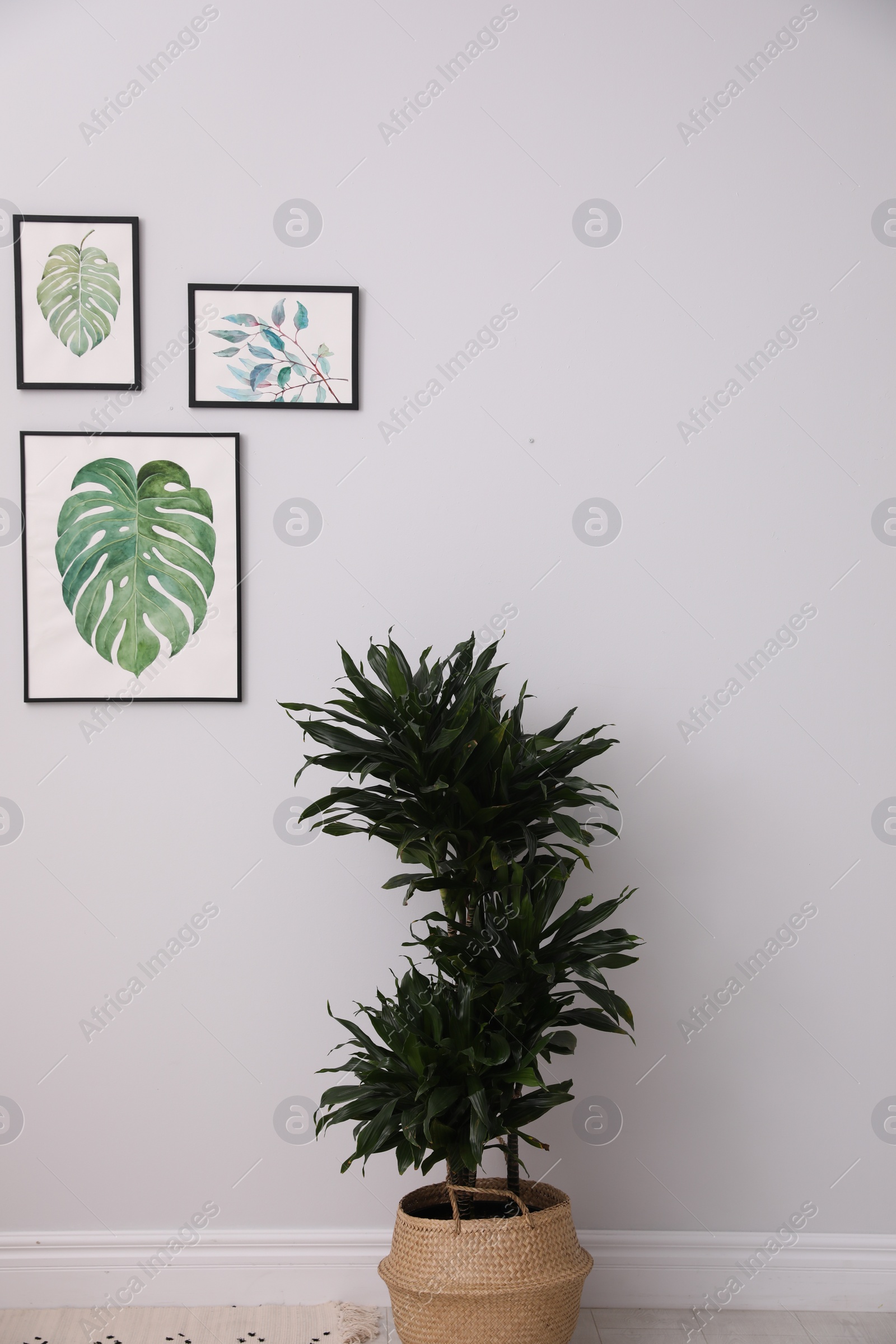 Photo of Beautiful paintings of tropical leaves on white wall in living room interior