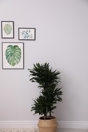 Photo of Beautiful paintings of tropical leaves on white wall in living room interior