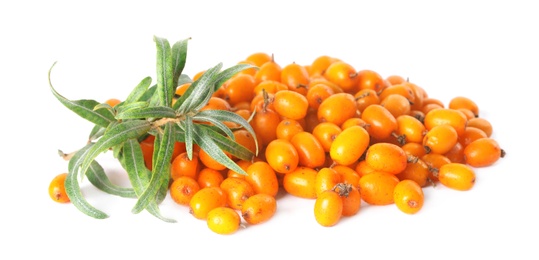 Fresh ripe sea buckthorn berries and leaves on white background