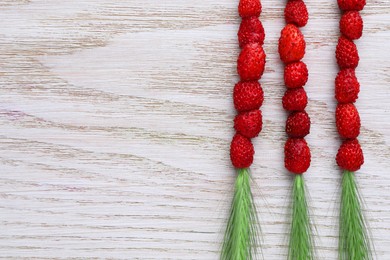 Grass stems with wild strawberries on white wooden table, flat lay. Space for text