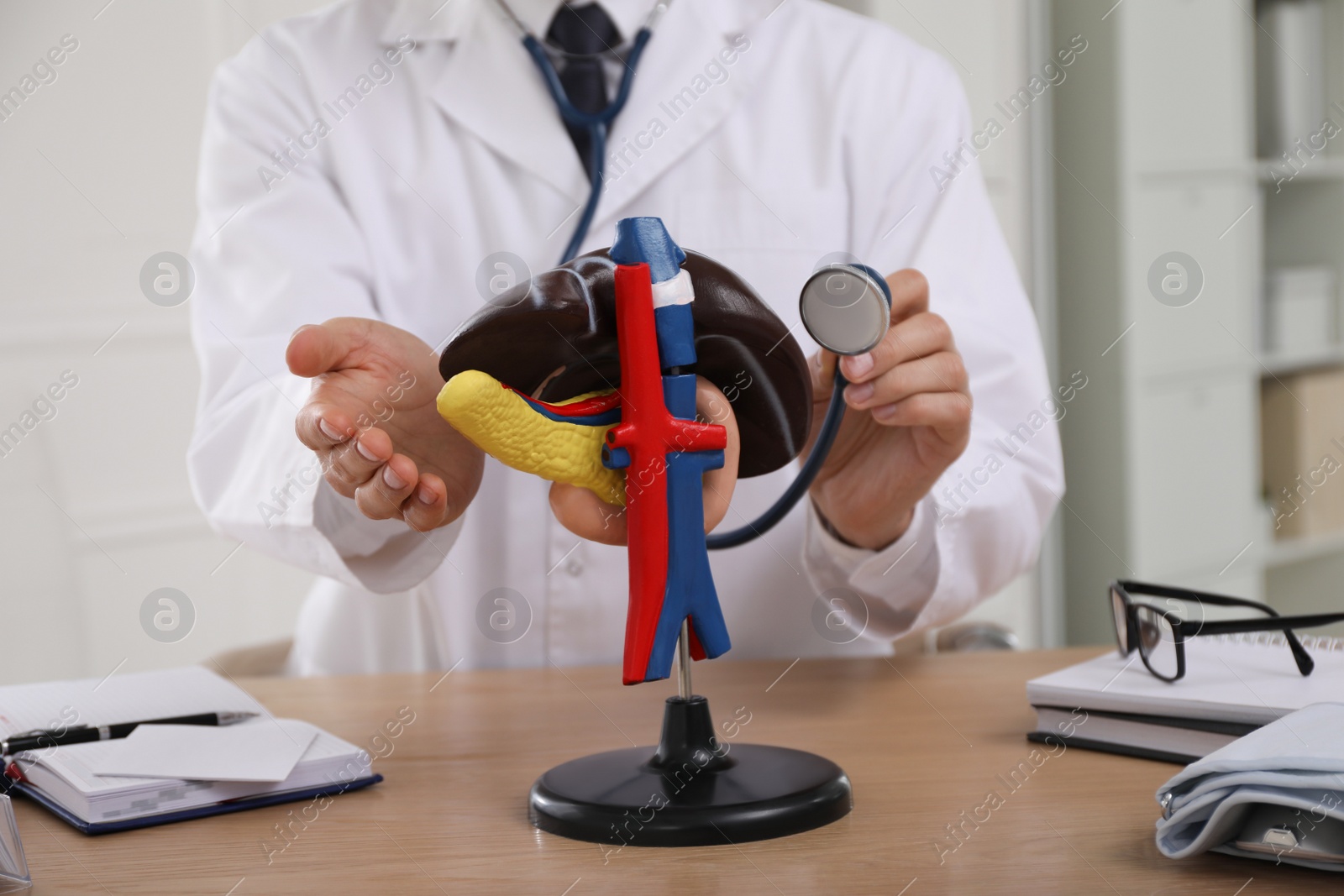 Photo of Doctor with stethoscope and liver model at workplace, closeup