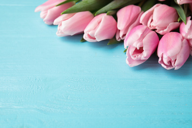 Beautiful pink spring tulips on light blue wooden background. Space for text