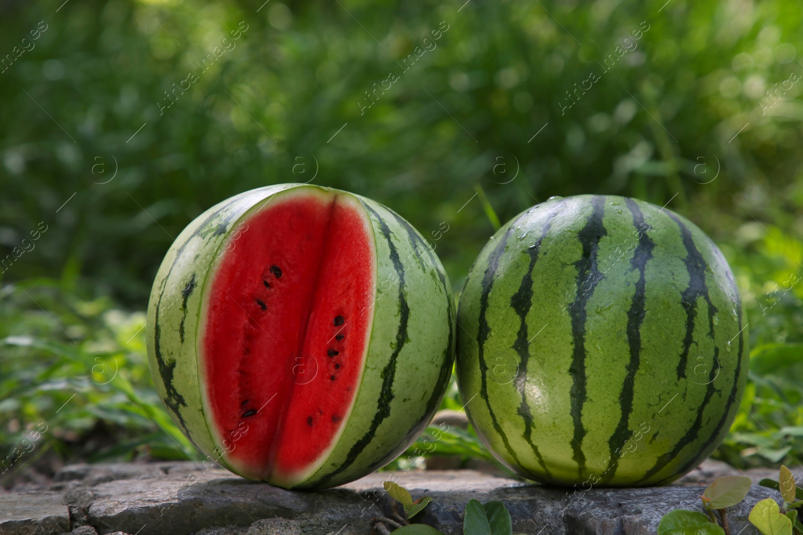 Photo of Delicious whole and cut watermelons on stone surface outdoors